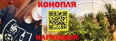 кокаин Будённовск
