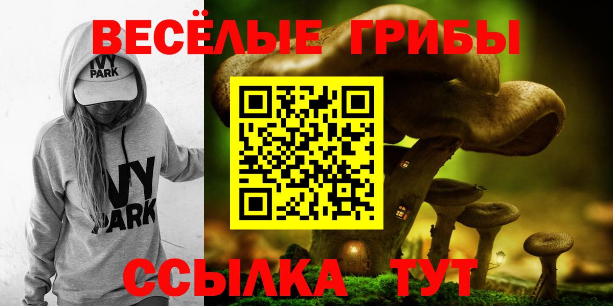 Тайшет  Галлюциногенные грибы Magic Shrooms  Вход с VPN  Галлюциногенные грибы MAGIC MUSHROOMS 